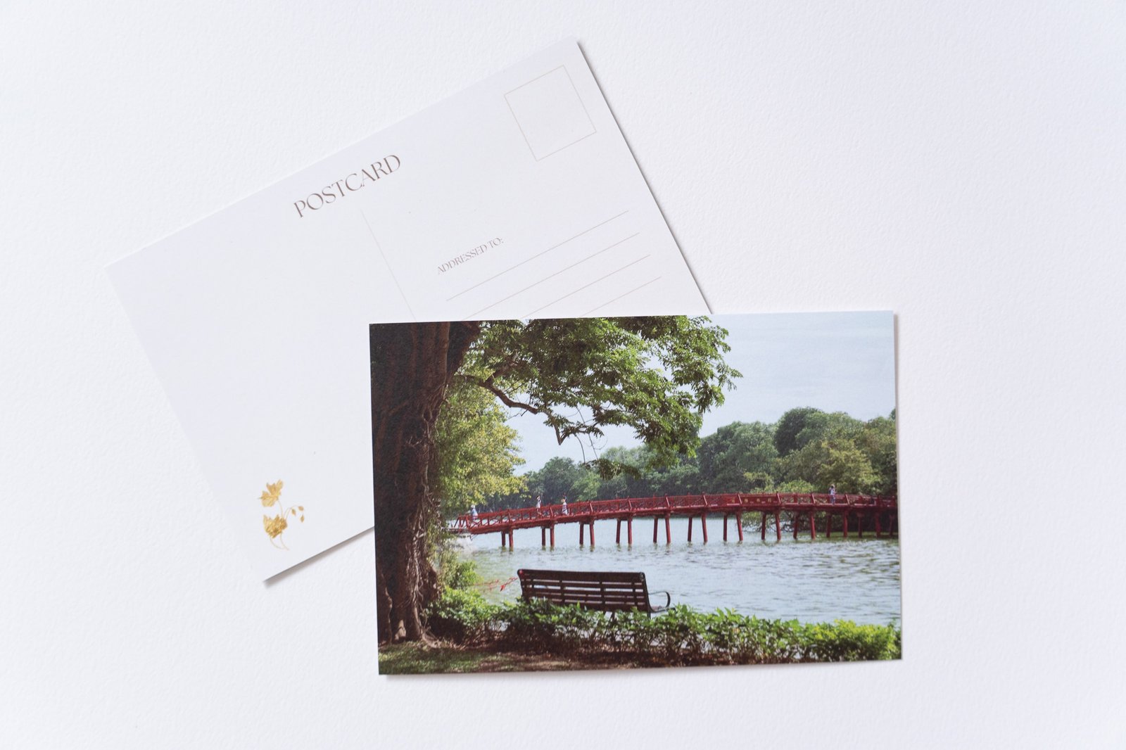 Space For Two | Vietnam | Collector Postcard - Image 2