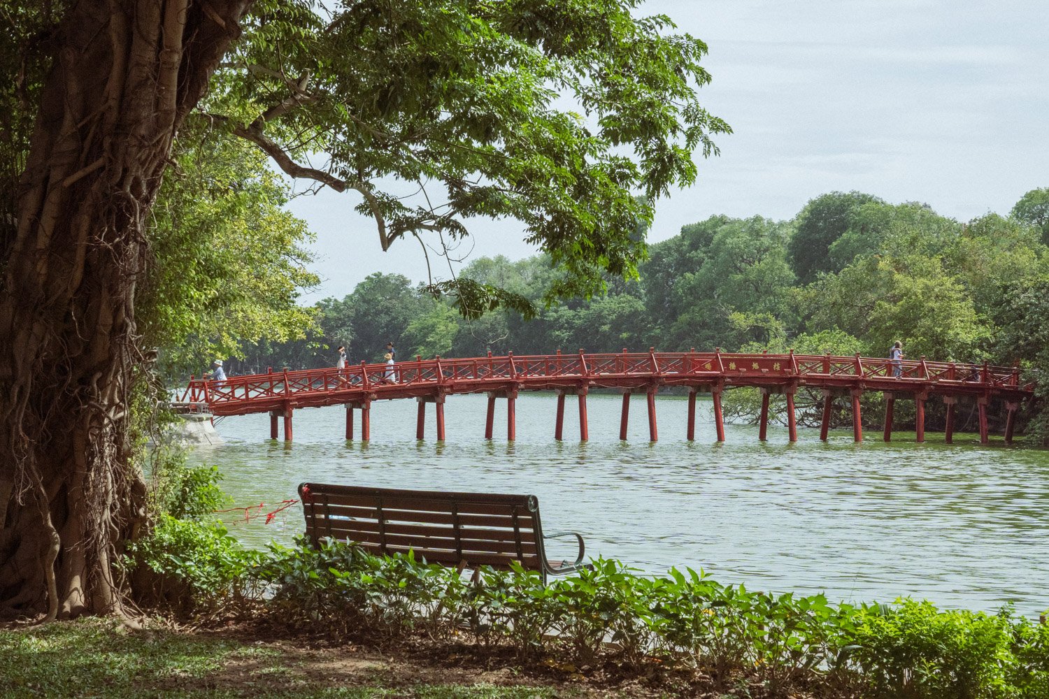 Space For Two | Vietnam | Collector Postcard