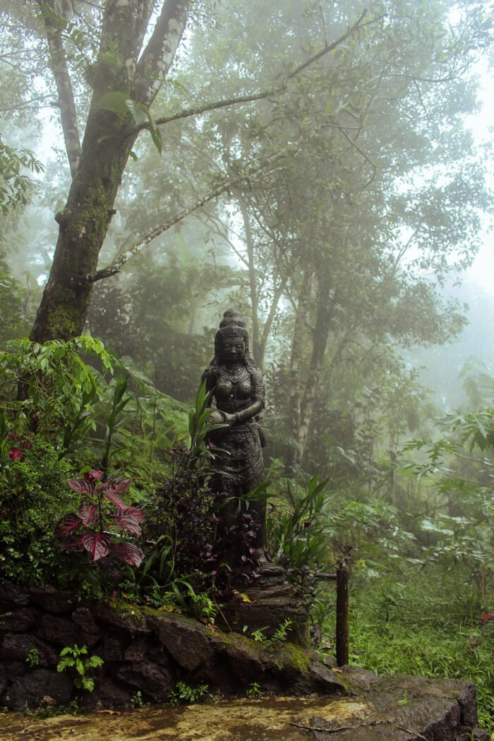 The Goddess | Bali | Collector Postcard